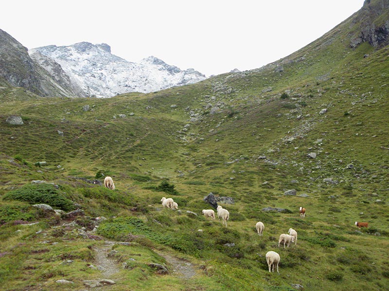 zechnerkarspitze